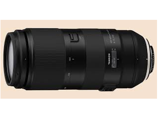 premium-lenses-for-wildlife-photography-tamron-small-0