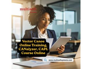 vector-canoe-canalyzer-capl-course-for-automotive-testing-small-0