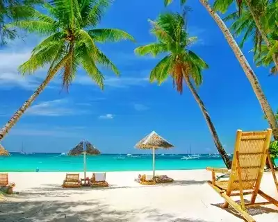 experience-the-best-beachside-homestays-in-maharashtra