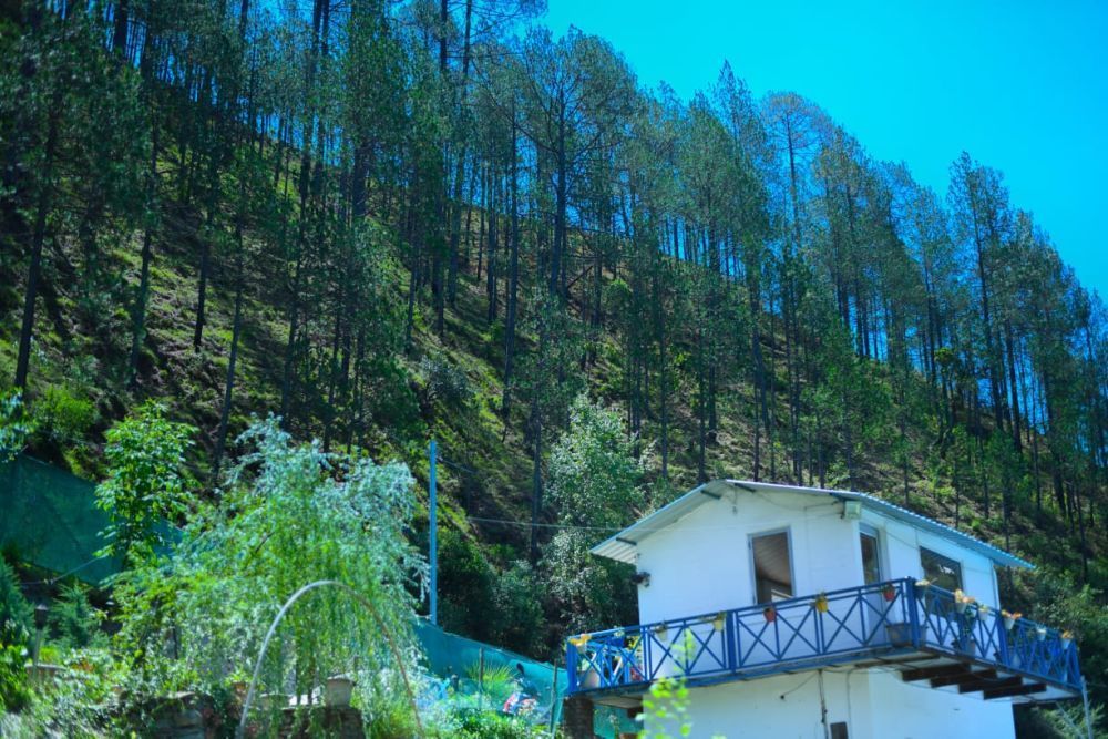 this-luxury-resort-in-mukteshwar-features-well-designed-rooms-big-0