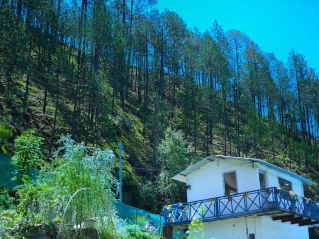 this-luxury-resort-in-mukteshwar-features-well-designed-rooms