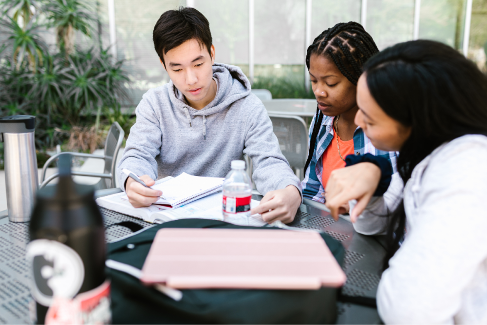 mba-in-new-zealand-scholarships-visa-guidance-available-big-0