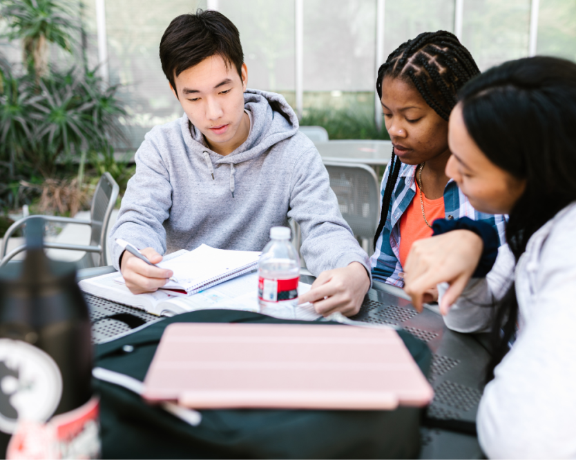 mba-in-new-zealand-scholarships-visa-guidance-available