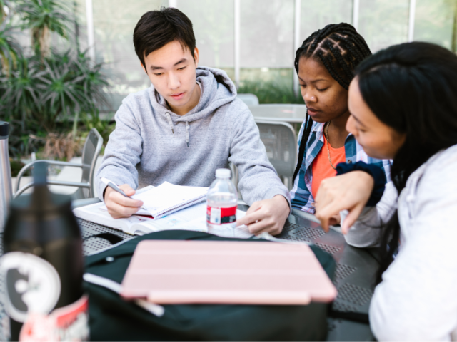 mba-in-new-zealand-scholarships-visa-guidance-available