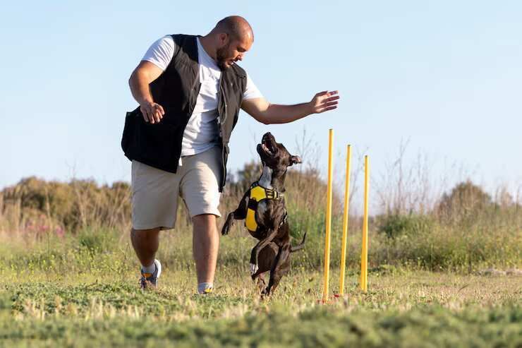 dog-trainer-in-srinagar-jk-big-0