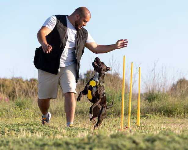 dog-trainer-in-srinagar-jk