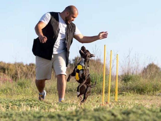 dog-trainer-in-srinagar-jk