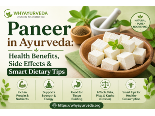 paneer-benefits-in-ayurveda-dosha-balance-diet-tips-small-0