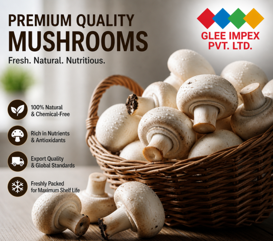 best-mushroom-supplier-india-big-0