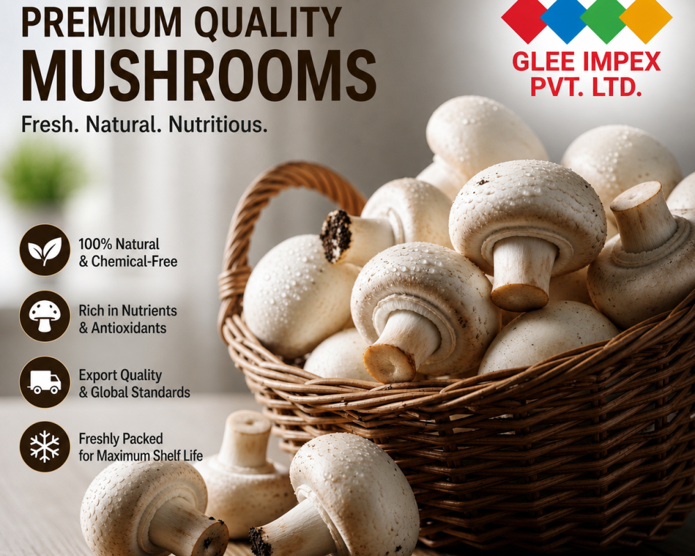 best-mushroom-supplier-india