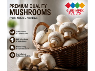 best-mushroom-supplier-india-small-0