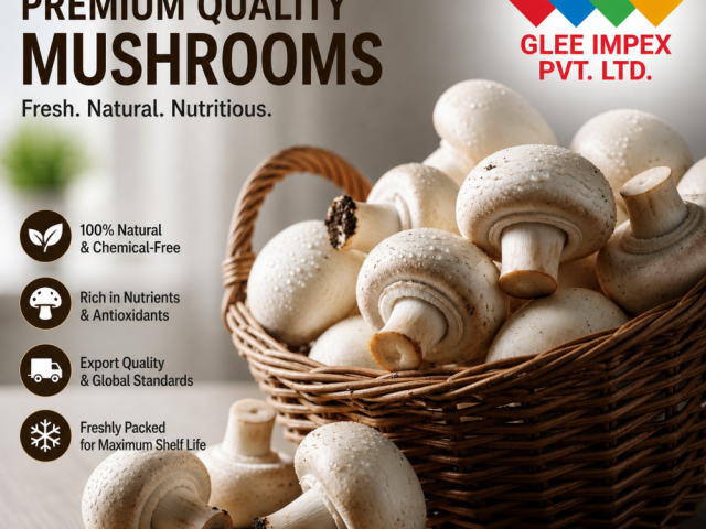 best-mushroom-supplier-india
