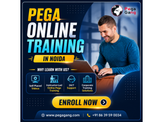 affordable-pega-online-training-in-noida-with-certification-small-0