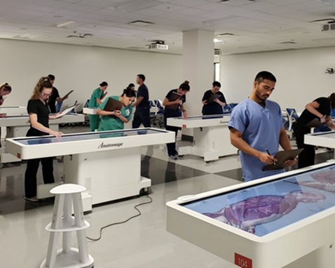 virtual-dissection-table-cutting-edge-anatomy-learning-tool