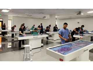 virtual-dissection-table-cutting-edge-anatomy-learning-tool-small-0