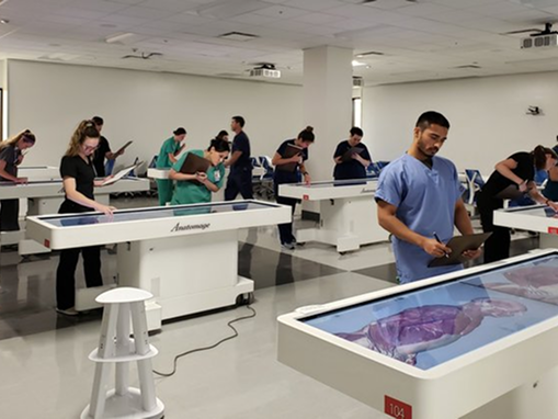 virtual-dissection-table-cutting-edge-anatomy-learning-tool