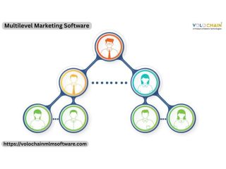 grow-faster-with-multilevel-marketing-software-services-small-0