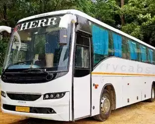affordable-bus-booking-for-wedding-service-reserve-today