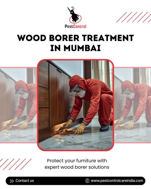 reliable-wood-borer-treatment-mumbai-by-pest-control-care-india-big-0