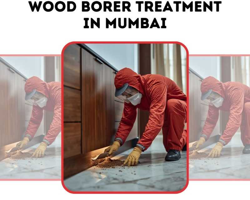 reliable-wood-borer-treatment-mumbai-by-pest-control-care-india