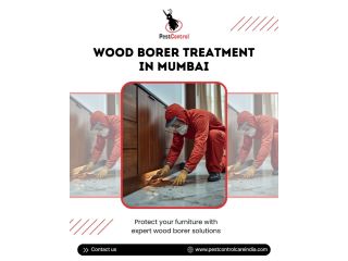 reliable-wood-borer-treatment-mumbai-by-pest-control-care-india-small-0