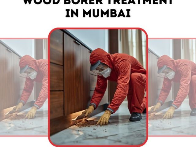 reliable-wood-borer-treatment-mumbai-by-pest-control-care-india