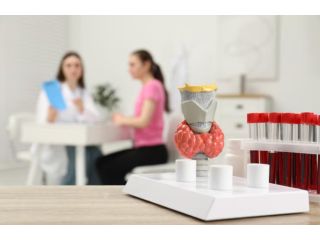 expert-thyroid-specialist-in-south-delhi-for-complete-care-small-0
