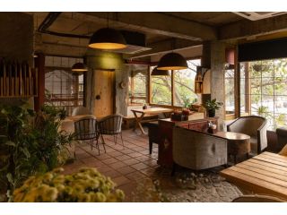 ama-cafe-best-cafes-in-majnu-ka-tila-for-relaxing-time-small-0