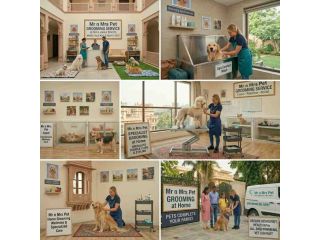 pet-grooming-service-at-home-in-ghaziabad-small-0