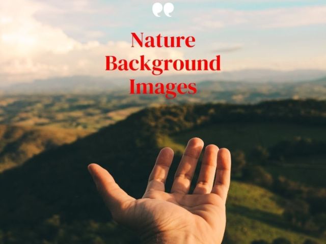nature-background-images-by-fotolobby-gurgaon