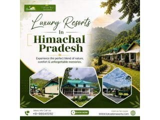 luxury-resorts-in-himachal-pradesh-for-premium-stay-small-0