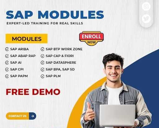 launch-your-high-growth-sap-career-with-visualpath-now