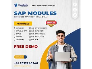 launch-your-high-growth-sap-career-with-visualpath-now-small-0