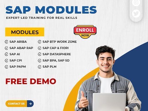 launch-your-high-growth-sap-career-with-visualpath-now