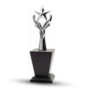 metal-star-trophies-big-0