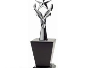 metal-star-trophies