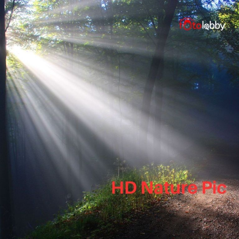 hd-nature-pic-by-fotolobby-gurgaon-big-0