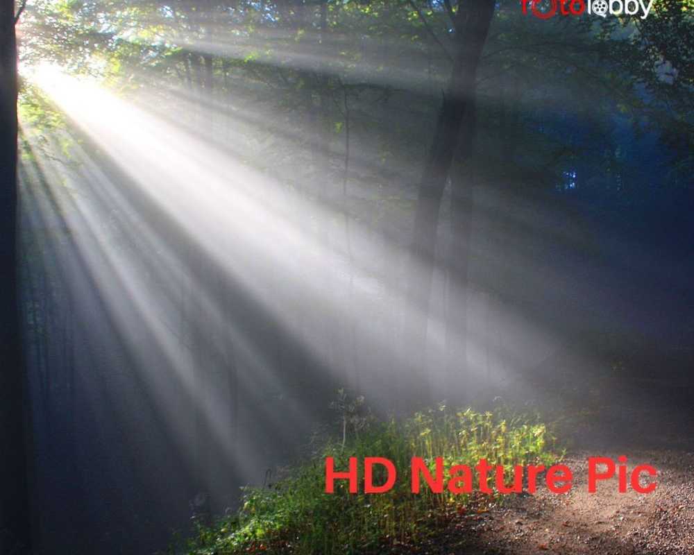hd-nature-pic-by-fotolobby-gurgaon