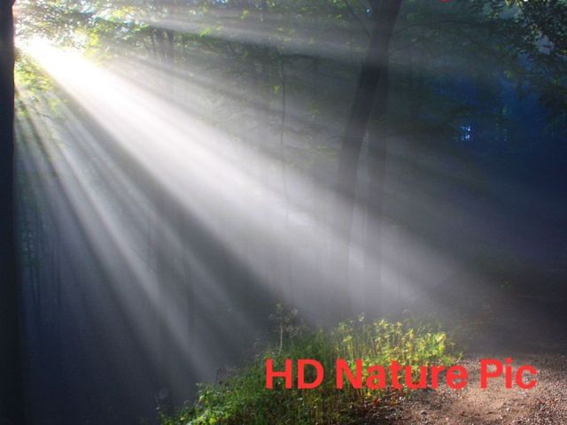 hd-nature-pic-by-fotolobby-gurgaon