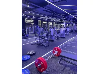 start-your-247-gym-franchise-business-with-full-support-small-0