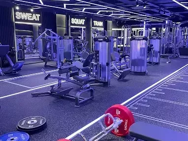 start-your-247-gym-franchise-business-with-full-support