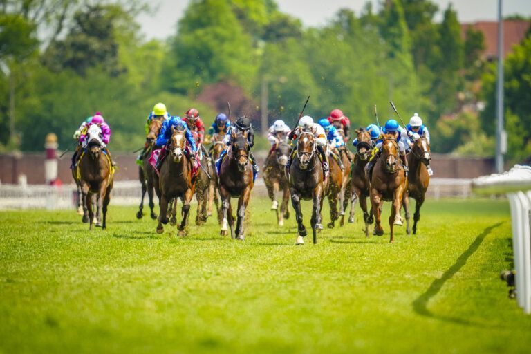 how-playinhorse-creates-a-more-streamlined-way-to-follow-sports-big-0