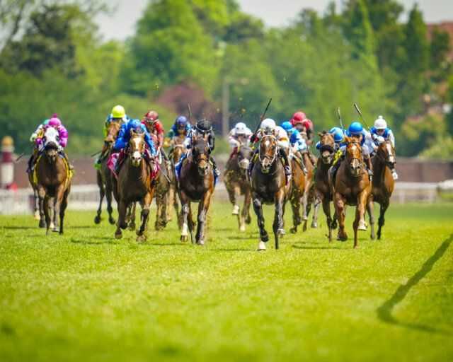 how-playinhorse-creates-a-more-streamlined-way-to-follow-sports