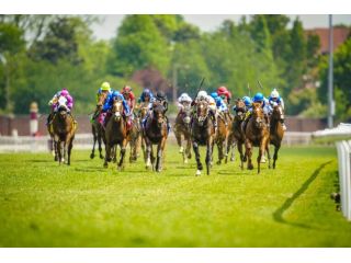 how-playinhorse-creates-a-more-streamlined-way-to-follow-sports-small-0