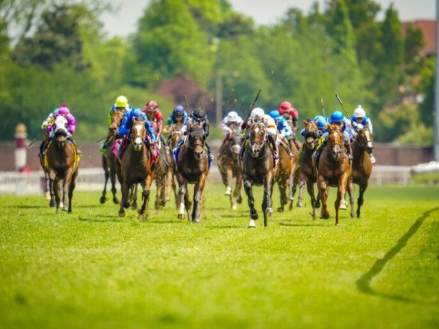 how-playinhorse-creates-a-more-streamlined-way-to-follow-sports