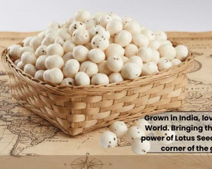 best-makhana-exporter-in-india-for-global-importers