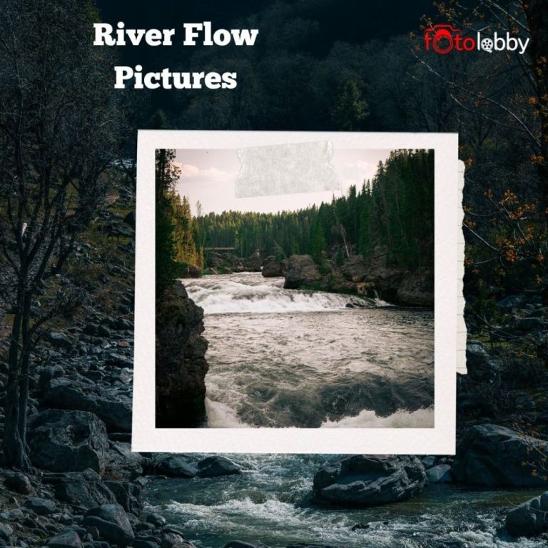 river-flow-pictures-by-fotolobby-gurgaon-big-0