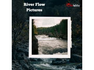 river-flow-pictures-by-fotolobby-gurgaon-small-0