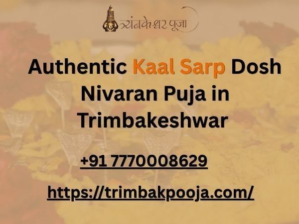 authentic-kaal-sarp-dosh-nivaran-puja-in-trimbakeshwar