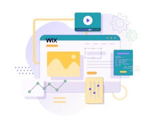 want-professional-wix-development-services-for-your-site-small-0